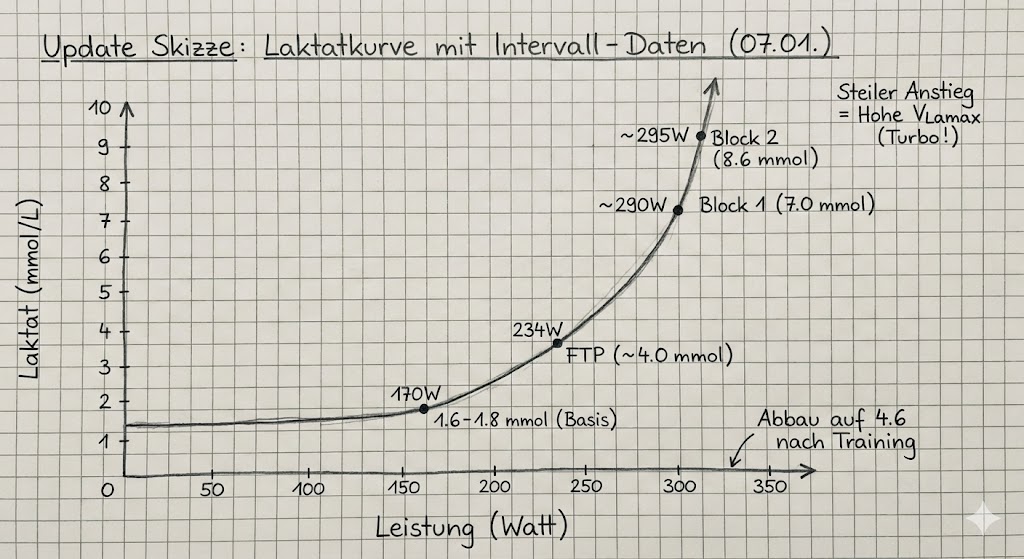 Zone 2 oder FatMax? Warum der „Piekser“ den Unterschied macht