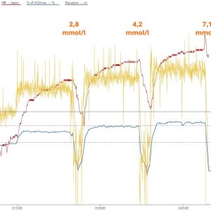 Laktattest validation 080126