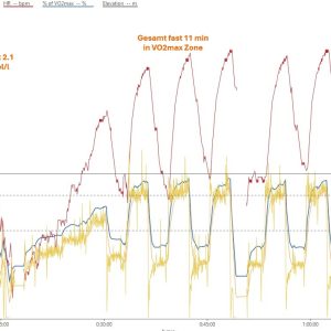 VO2max Intervalle 3 x 6min